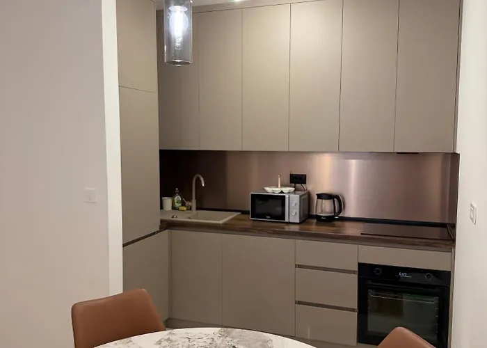 Montenegro Luxury - New * 포드고리차